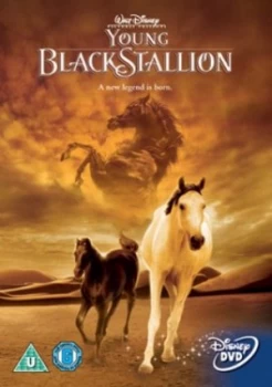 Image of The Young Black Stallion - DVD