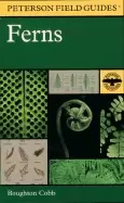 Image of field guide to ferns and their related families northeastern and central no