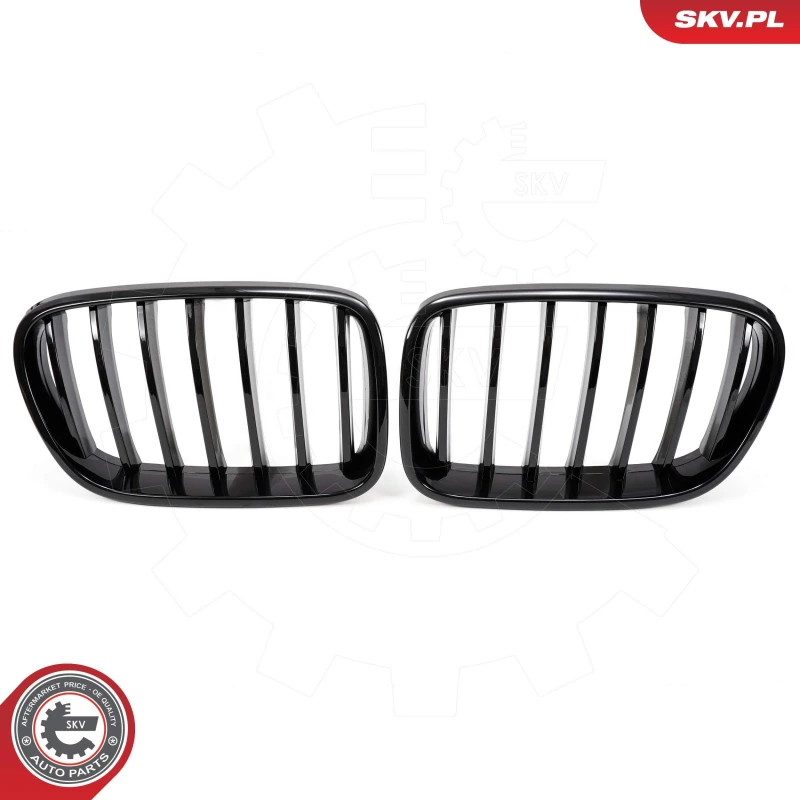 Image of ESEN SKV Radiator Grille ESEN SKV 66SKV248