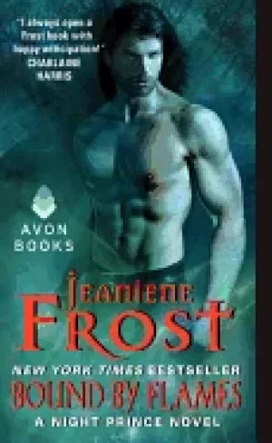 Image of bound by flames a night prince novel