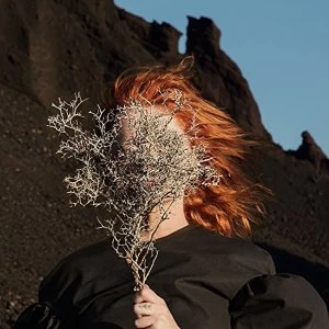 Image of Goldfrapp - Silver Eye Vinyl