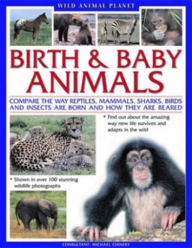 Image of Birth and Baby Animals Paperback