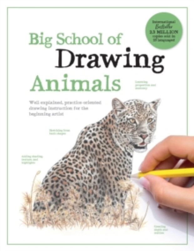 Image of Big School of Drawing Animals. Paperback Books
