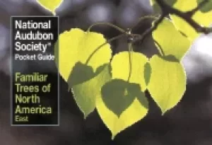 Image of familiar trees of north america east