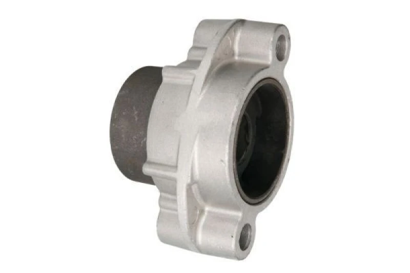 Image of REINHOCH Trailing arm / Suspension arm bush REINHOCH RH14-2029
