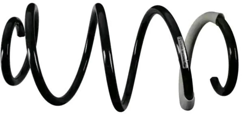 Image of Coil spring SACHS 993 571