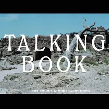 image of Talking Book - Talking Book II Vinyl