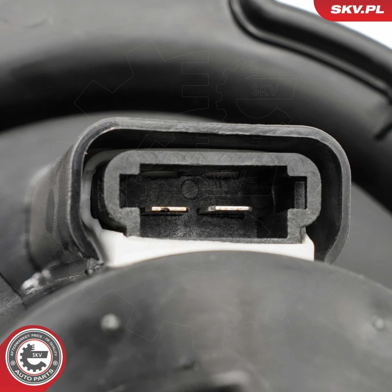 Image of ESEN SKV Blower motor ESEN SKV 68SKV066