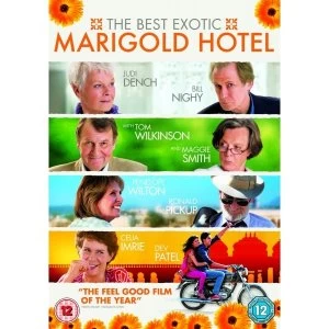 image of The Best Exotic Marigold Hotel DVD