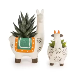 image of Animal Succulent Planter Pots - Set of 2 M&amp;W