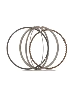 Image of RIDEX Piston Ring Kit 444P0008 Piston Ring Set VW,AUDI,SKODA,Golf V Schragheck (1K1),TOURAN (1T1, 1T2),Passat Variant (3C5),GOLF VI (5K1)