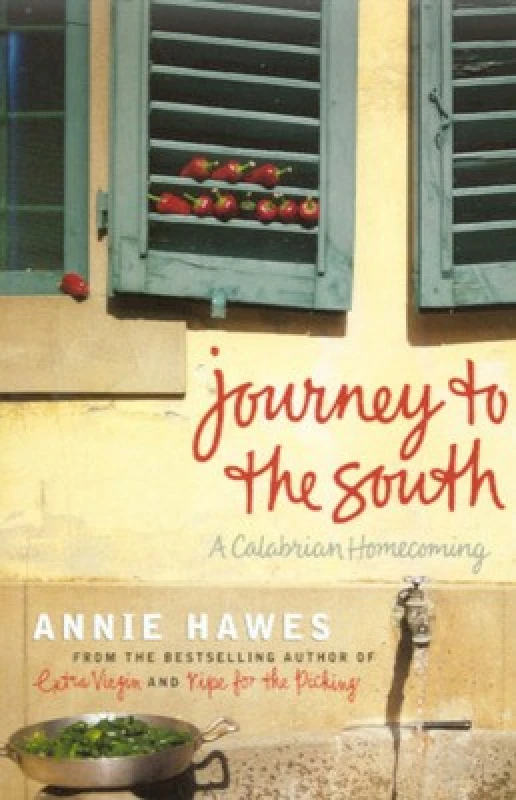 Image of Journey to the South by Annie Hawes Paperback