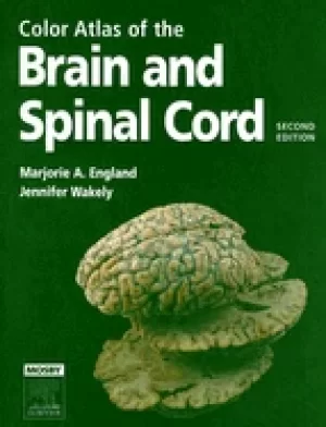 Image of color atlas of the brain and spinal cord an introduction to normal neuroana