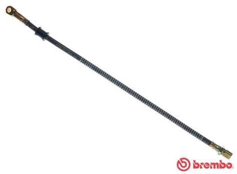 Image of BREMBO Brake hose BREMBO T 41 001