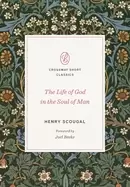 Image of life of god in the soul of man