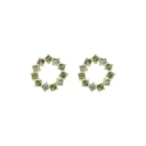 Image of Ted Baker Cresina Crystal Hoop Stud Earrings