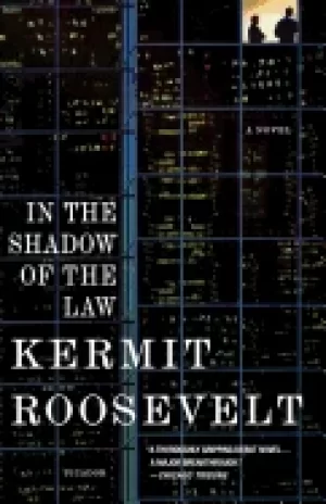 Image of in the shadow of the law