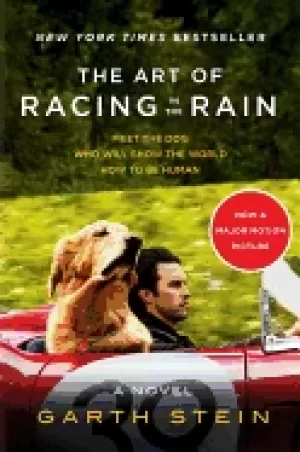 Image of art of racing in the rain tie in a novel
