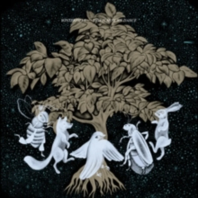 Image of This is how we dance CD / Album