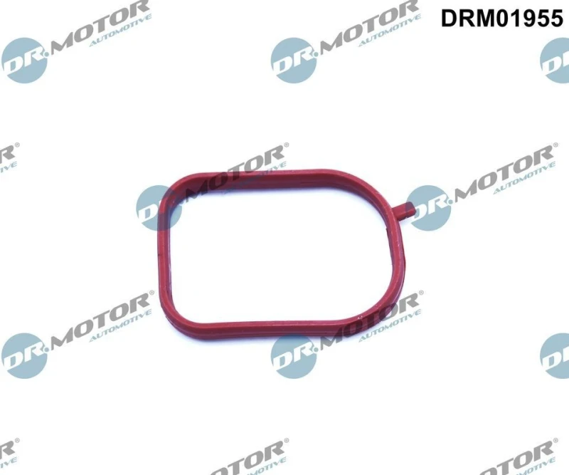 Image of DR.MOTOR AUTOMOTIVE Thermostat housing gasket DR.MOTOR AUTOMOTIVE DRM01955