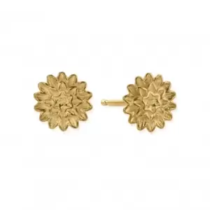Image of Gold Botanical Beauty Stud Earrings GEST3299