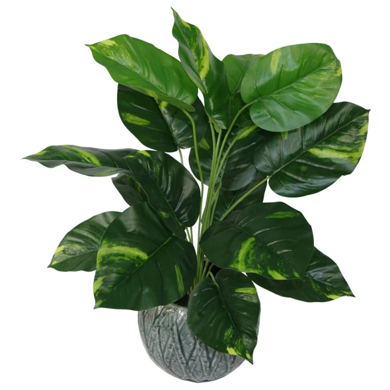 Image of Leaf 60cm Artificial Devil's Ivy (Scindapsus Aureus) Plant Green