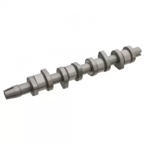 Image of Camshaft 29852 by Febi Bilstein