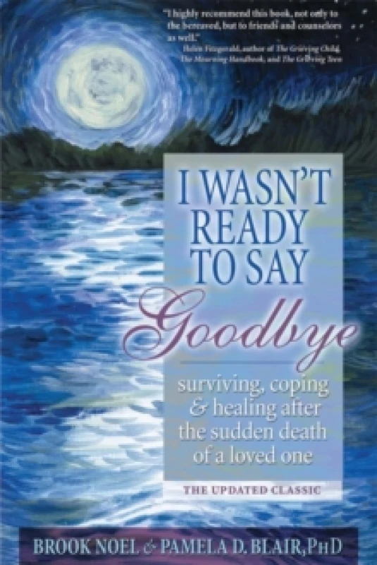 Image of i wasnt ready to say goodbye surviving coping and healing after the sudden 9781402212215