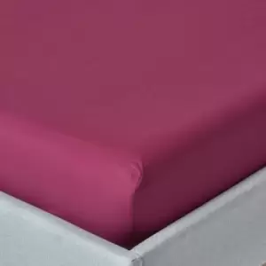 Image of Plum Egyptian Cotton Deep Fitted Sheet 200 Thread Count, Double - Plum - Plum - Homescapes
