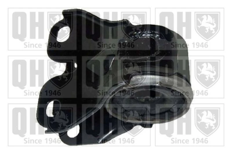 Image of QUINTON HAZELL Trailing arm / Suspension arm bush QUINTON HAZELL EMS8446