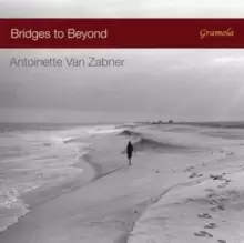 Image of Bridges to Beyond