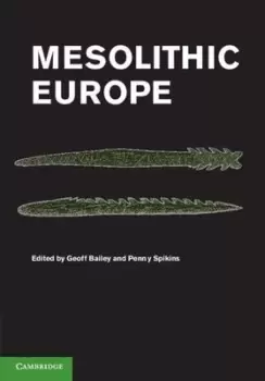 Image of Mesolithic Europe by G. N. Bailey