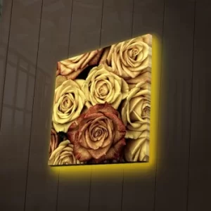 Image of 4040DACT-47 Multicolor Decorative LED Lighted Canvas Painting