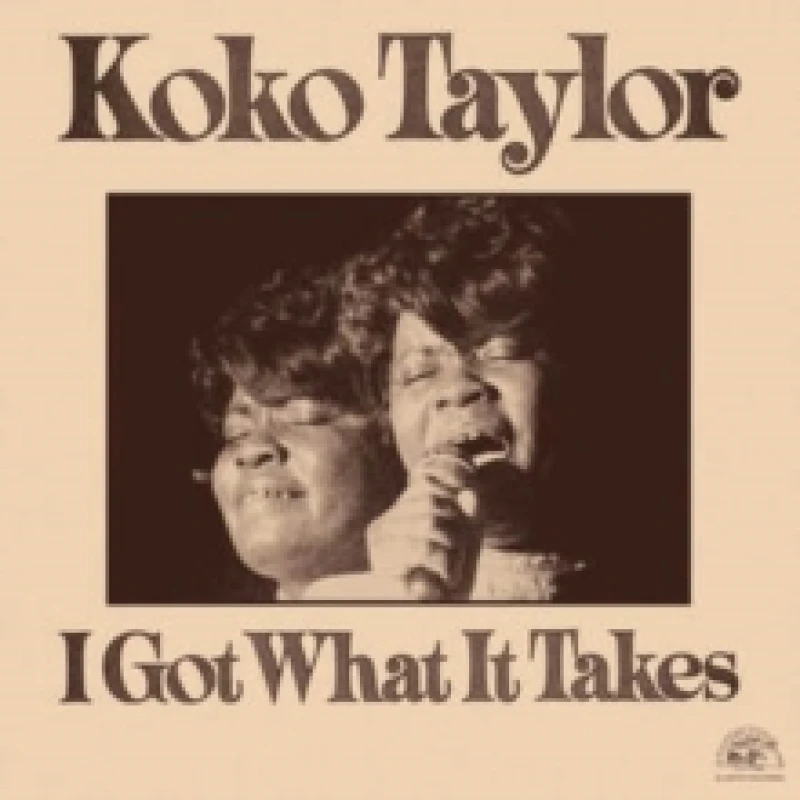 Image of I Got What It Takes (RSD 2023) Vinyl