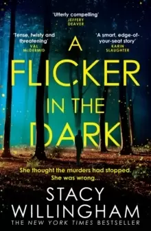 Image of A Flicker in the Dark