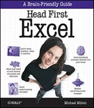 Image of head first excel a learners guide to spreadsheets