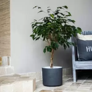 Image of Ivyline Leon Granite Planter - D32Cm