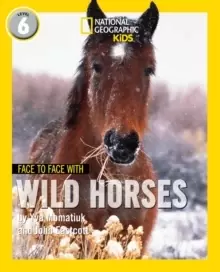 Image of Face to Face with Wild Horses : Level 6