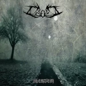 Image of Blestem by Colosus CD Album