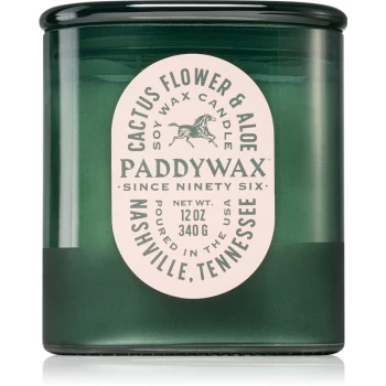 Image of Paddywax Vista Cactus Flower Aloe Scented Candle 340g
