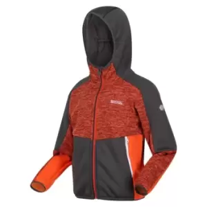 Image of Regatta Dissolver VII Fleece - RustyOr/SlGy