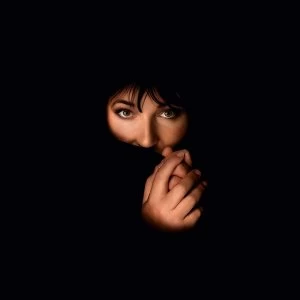 Image of Kate Bush - Remastered In Vinyl IV Vinyl