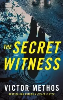 Image of The Secret Witness