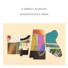 Image of Magnificent Bird