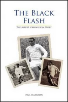 Image of The Black flash by Paul Harrison