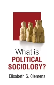 Image of What is Political Sociology?