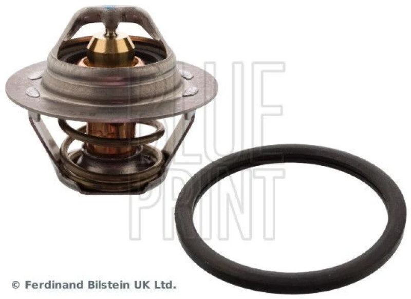 Image of Blue PRINT Thermostat Blue PRINT ADN19240