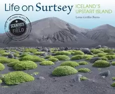Image of life on surtsey icelands upstart island