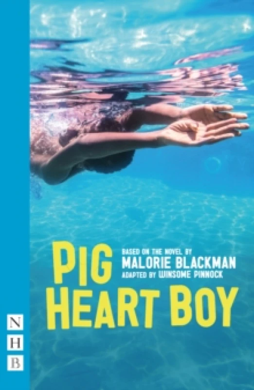 Image of Pig Heart Boy Paperback / softback