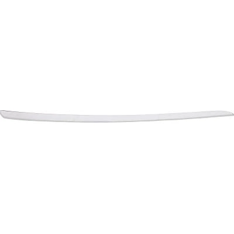 Image of Bumper moulding DIEDERICHS 1685162
